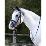 Waldhausen Uzdečka s kombinovaným nánosníkem a srdíčky Happy Hearts Černá – Sleviste.cz