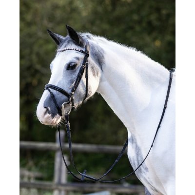 Waldhausen Uzdečka s kombinovaným nánosníkem a srdíčky Happy Hearts Černá – Sleviste.cz