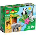 LEGO® DUPLO® 10904 Zvířecí mláďátka – Hledejceny.cz