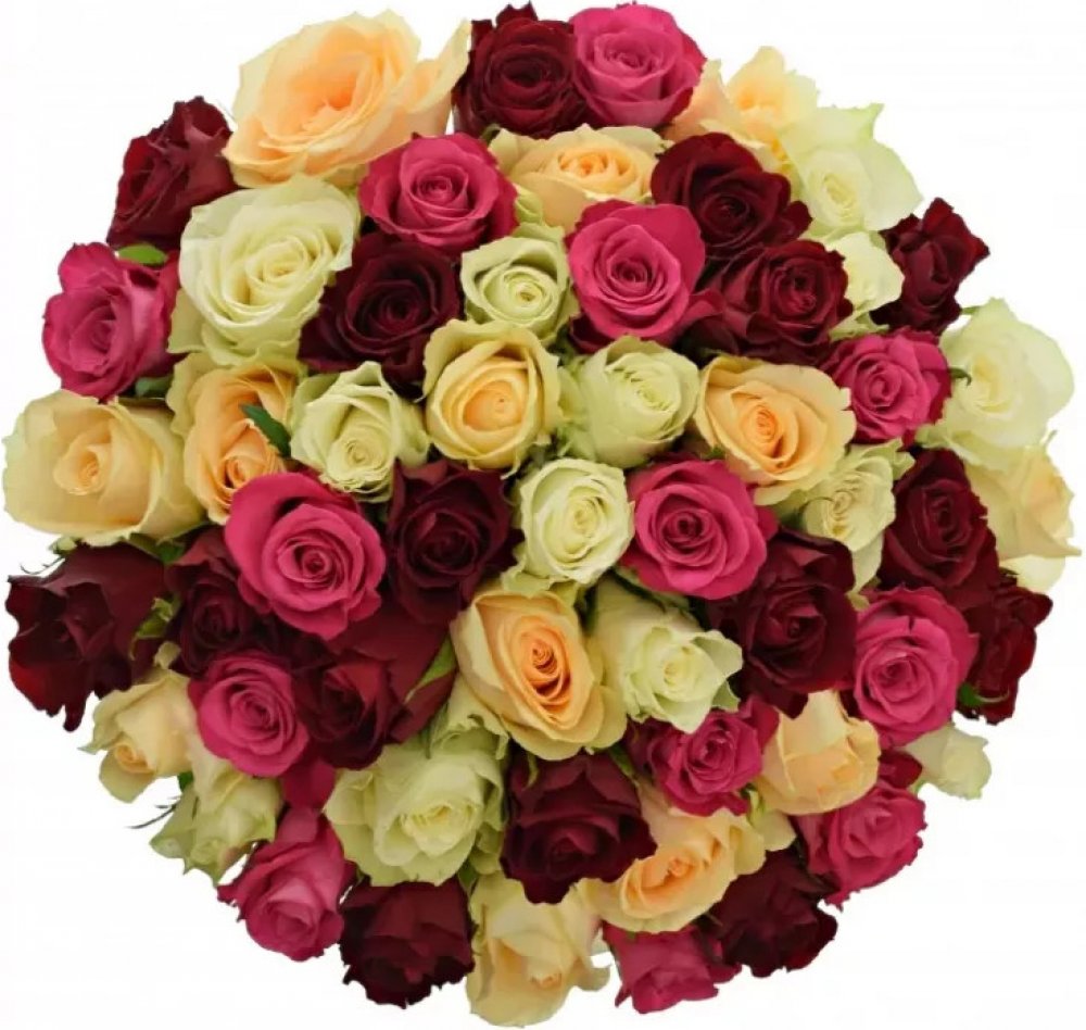 Kytice 55 míchaných růží AMALGITH 40cm – Zboží Dáma