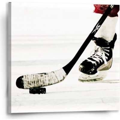 Sablio Obraz Lední hokej - 50x50 cm – Hledejceny.cz