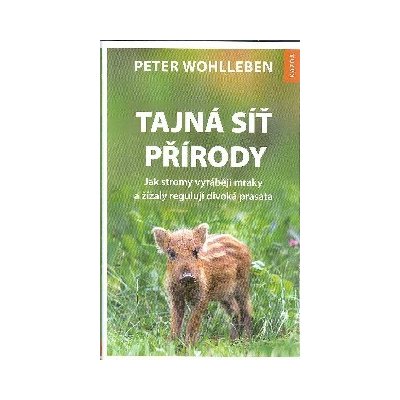 Wohlleben Peter: Tajná síť přírody (Příroda je plná překvapení: listnaté stromy působí na rotaci Země, jeřábi sabotují výrobu šunky ve Španělsku a jehličnaté lesy umí přivolat déšť... ( 208 str. V5) (