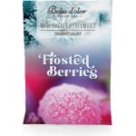 Boles D´olor Vonný sáček kapesní malý 5,5 x 7,5 x 0,3 cm Frosted Berries – Hledejceny.cz