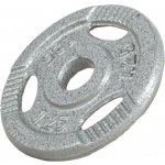 Gorilla Sports litina 1,25 kg 30/31 mm – Hledejceny.cz