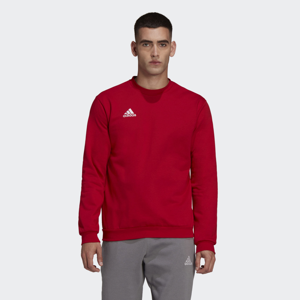 adidas Entrada 22 Sweat h57514