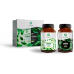 ADAPTO GREEN + TL GREEN Green idea 180 tablet – Hledejceny.cz