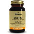 Herba Medica Gastro 50 g 100 tablet