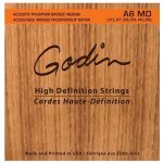 Godin Strings Acoustic Guitar MD – Zbozi.Blesk.cz