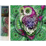 Norimpex Diamantové malování 7D Sova na zelené mandale 30 x 30 cm – Hledejceny.cz