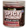 Návnada a nástraha Starbaits Boilies pasta Concept Spicy Salmon 250g