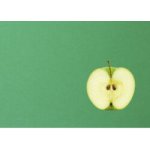 Barevný karton A4 100 L zelená tm. 200 g/m2 A4100-15086 – Hledejceny.cz