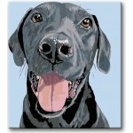 Zuty Malování podle čísel ČERNÝ KRASAVEC – Zboží Mobilmania