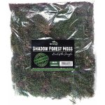 Terrario Shadow Forest Moss 35x30 cm – Hledejceny.cz