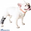 Autovýbava Walkinpets Stabilizátor šlach a kloubů (na zadní nohy) pro psa XL