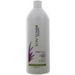 Matrix Biolage Hydrasource Shampoo 1000 ml – Sleviste.cz