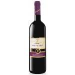 Messapo Negroamaro Salento I.G.P. 13,5% 0,75 l (holá láhev) – Hledejceny.cz
