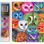 Norimpex Diamantové malování Soví koláž 30 x 40 cm – Zbozi.Blesk.cz