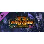 Total War: WARHAMMER 2 - The Shadow & The Blade – Hledejceny.cz