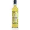 Ostatní lihovina Limoncello Tradizione 25% 0,7 l (holá láhev)