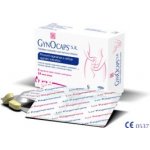 Gynocaps SR 2 tablety – Hledejceny.cz
