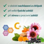 Cetebe Herba 30 tablet – Hledejceny.cz