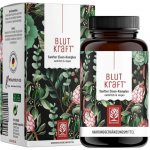Naturtreu Krevní síla Komplex železa 120 kapslí – Hledejceny.cz