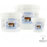 RESULT EQUINE R Sea Clay 1,5 kg – Hledejceny.cz