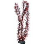 Hobby Eusteralis 39 cm umělá – Sleviste.cz