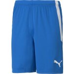 Puma teamLIGA Shorts – Zbozi.Blesk.cz