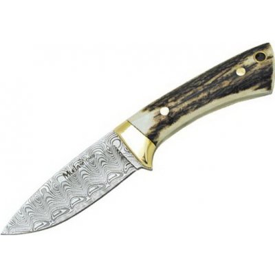 Muela Colibri Stag COL-7DAM – Hledejceny.cz