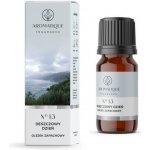 Aromatique Vonný olej Eco Natural Rainy Day 12 ml – Hledejceny.cz