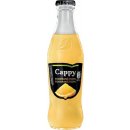 Cappy Pomeranč sklo 0,25l