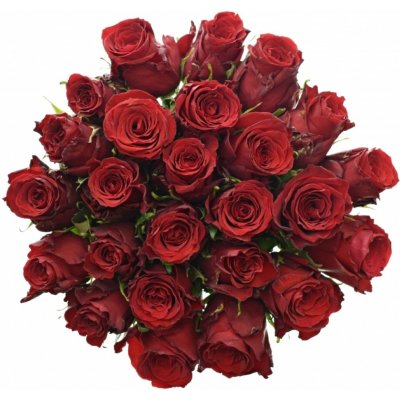 Kytice 25 rudých růží RED TORCH 70cm – Zboží Dáma