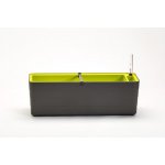 Plastia Berberis samozavlažovací truhlík 60 x 19,5 cm antracit/ zelený – Hledejceny.cz