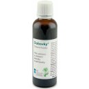 Dědek Kořenář Dubové kapky RK 50 ml