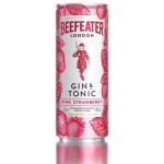 Beefeater Pink & Tonic 4,9% 0,25 l (plech) – Sleviste.cz