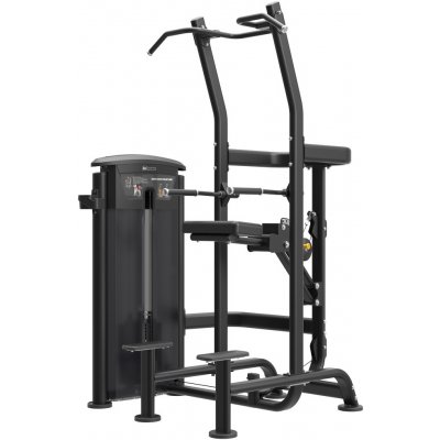 IMPULSE Chin/Dip Combo – Sleviste.cz