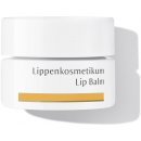 Dr. Hauschka Kosmetikum na rty 4,5 ml