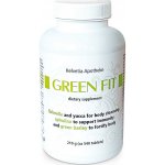 Green Fit 540 tablet – Hledejceny.cz