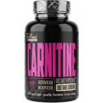 FitBoom Carnitine 100 tablet – Zboží Mobilmania