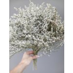 Statice tatarika přírodní bílá svazek 100g – Sleviste.cz