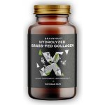 BrainMax hydrolyzovaný GrassFed Collagen kolagen z krav krmených trávou 600 mg 100 kapslí – Hledejceny.cz