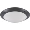 Zahradní lampa Trio Leuchten R60502042