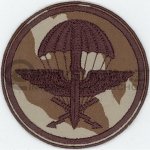 Nášivka: 11. průzkumný prapor [ssz] | vz. 95 béžový – Zboží Dáma