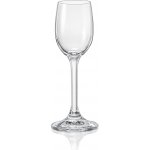 Crystalex Sklenice Lara 6 ks 65 ml – Zboží Mobilmania