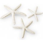 BiOrb Star Fish Decor set biela 12, 10, 8 cm – Zbozi.Blesk.cz