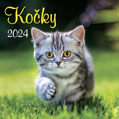 Kočky nástěnný 2024 – Zboží Mobilmania