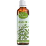 Meduňka tinktura z bylin 50 ml – Hledejceny.cz