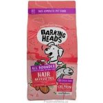 Barking Heads All Hounder Hair Necessities Salmon 12 kg – Hledejceny.cz