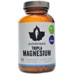 Puhdistamo Triple Magnesium 120 kapslí – Hledejceny.cz